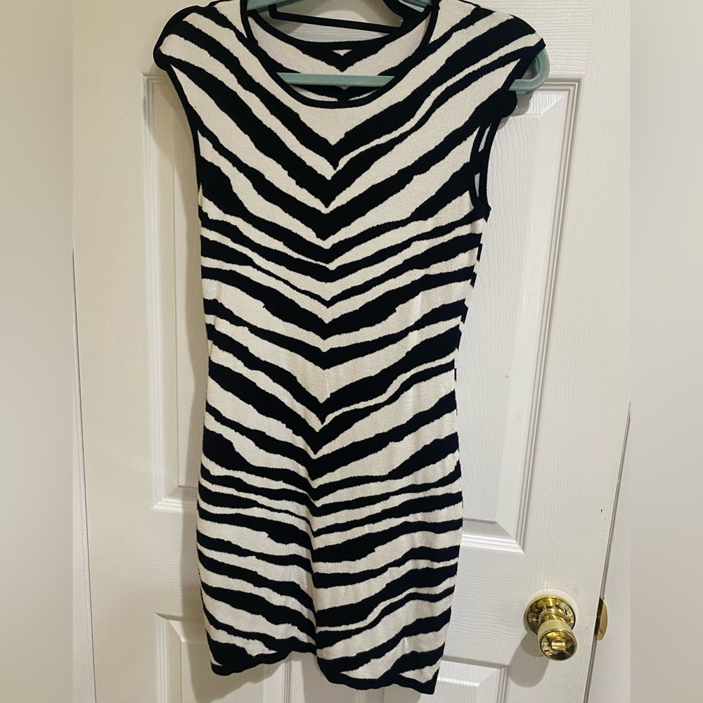 Zebra print dress
